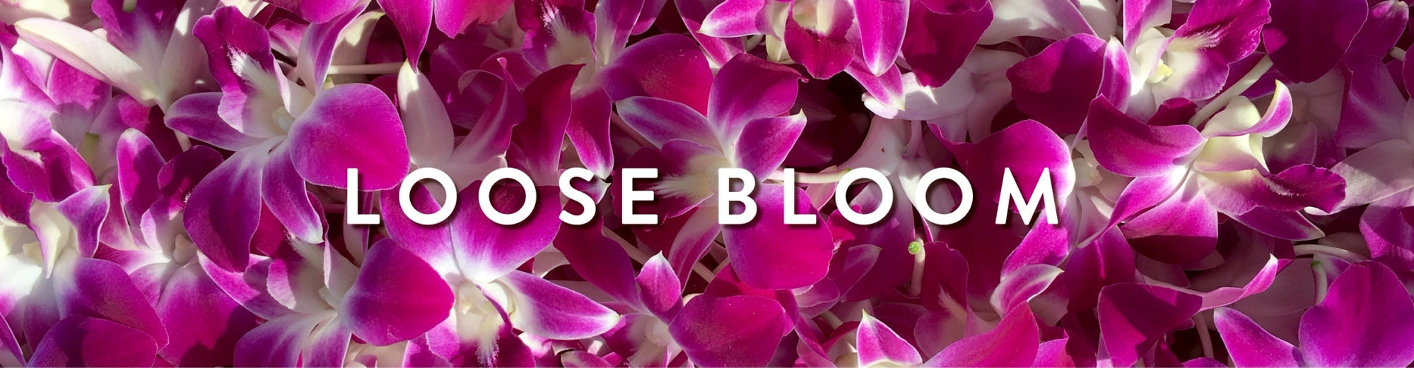 Loose Bloom