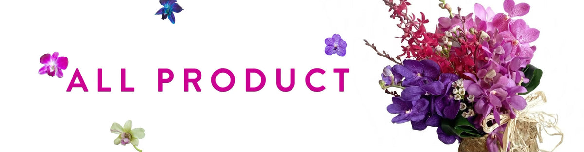 All Products