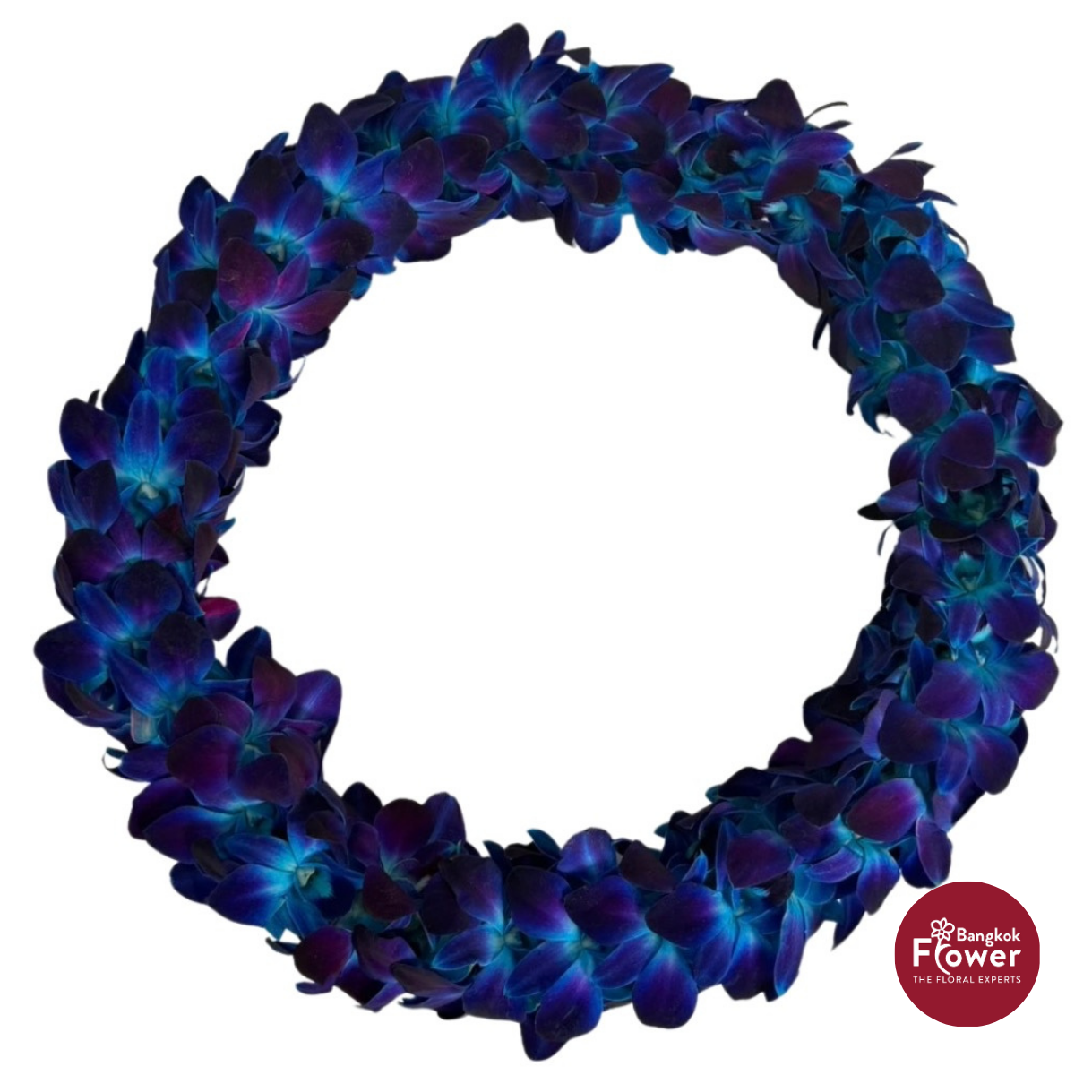Lei Double Bom Blue