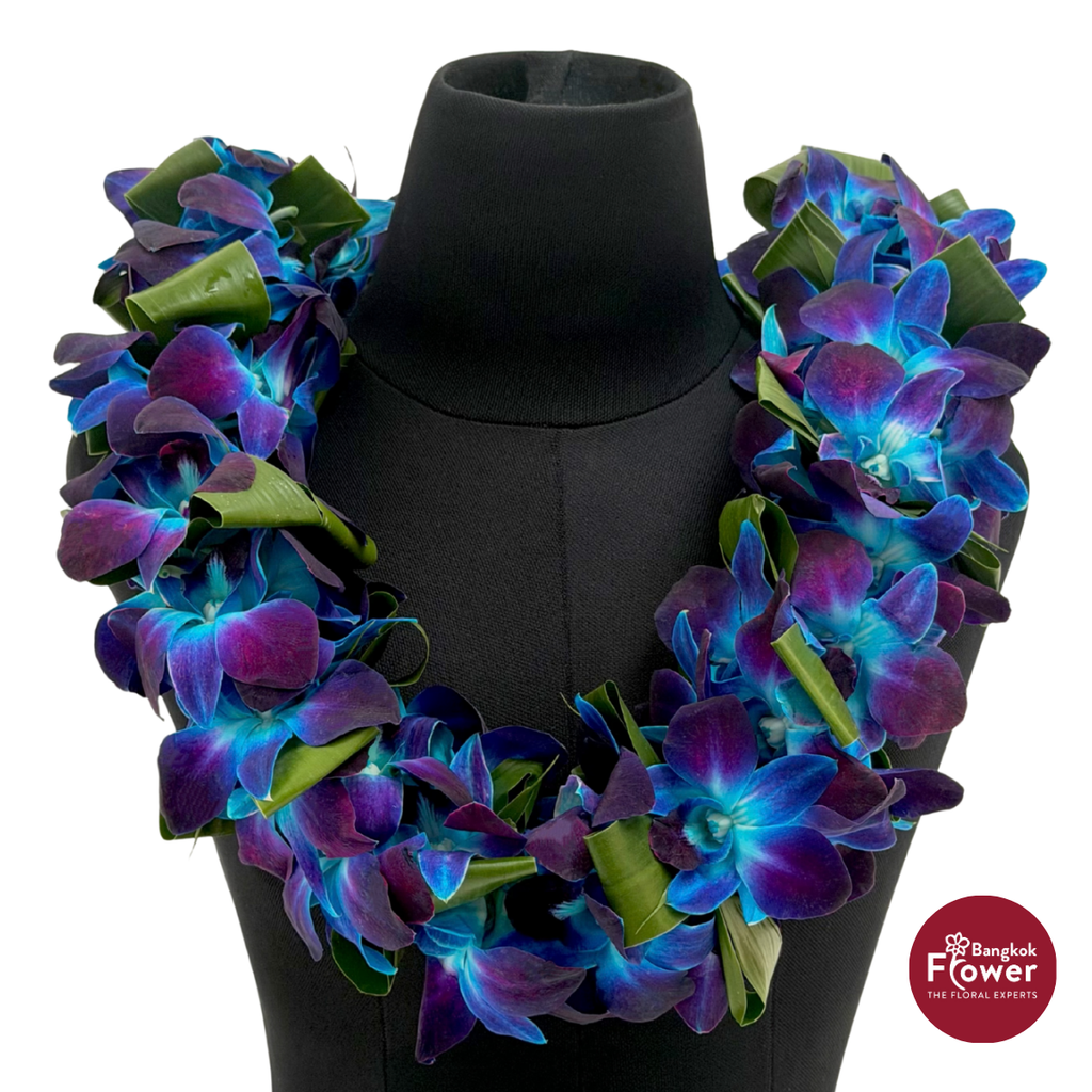 Lei Double Bom Blue + Leaves