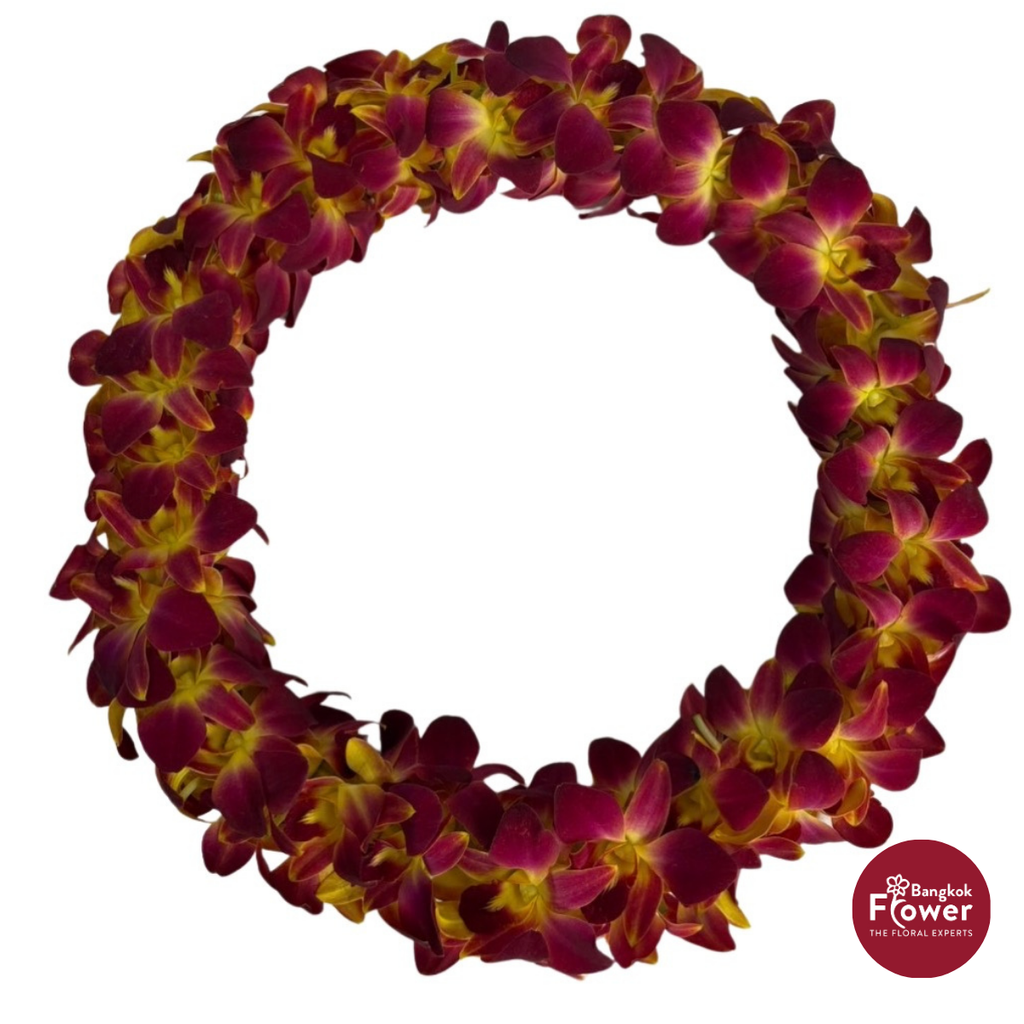 Lei Double Bom Yellow