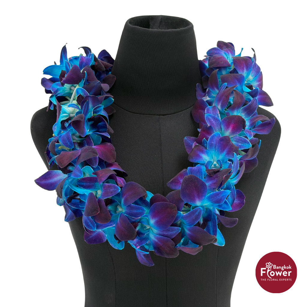 Lei Double Bom Blue