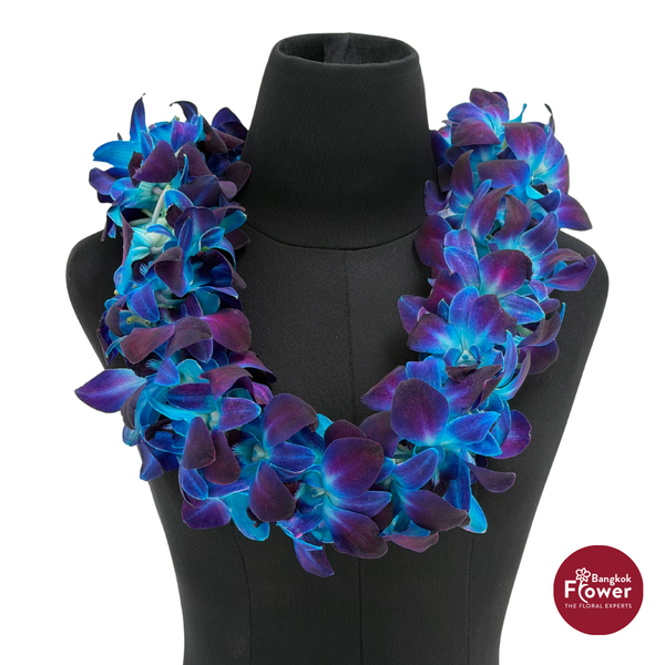 Lei Double Bom Blue