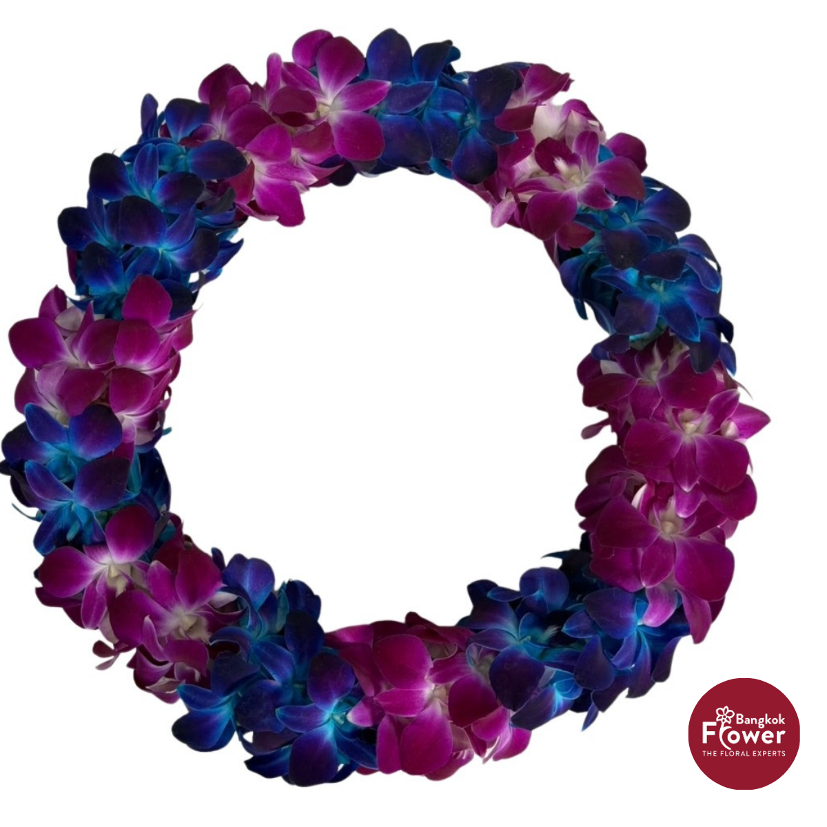 Lei Double Bom + Bom Blue