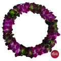 Lei Double Bom + Bom Green