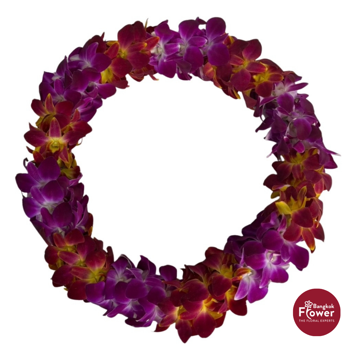 Lei Double Bom + Bom Yellow