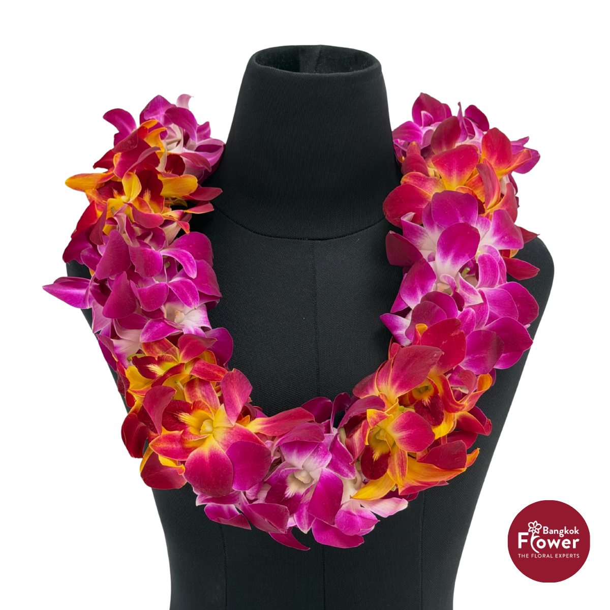Lei Double Bom + Bom Yellow