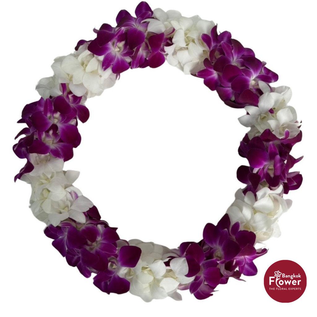 Lei Double Bom + White