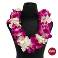 Lei Double Bom + White