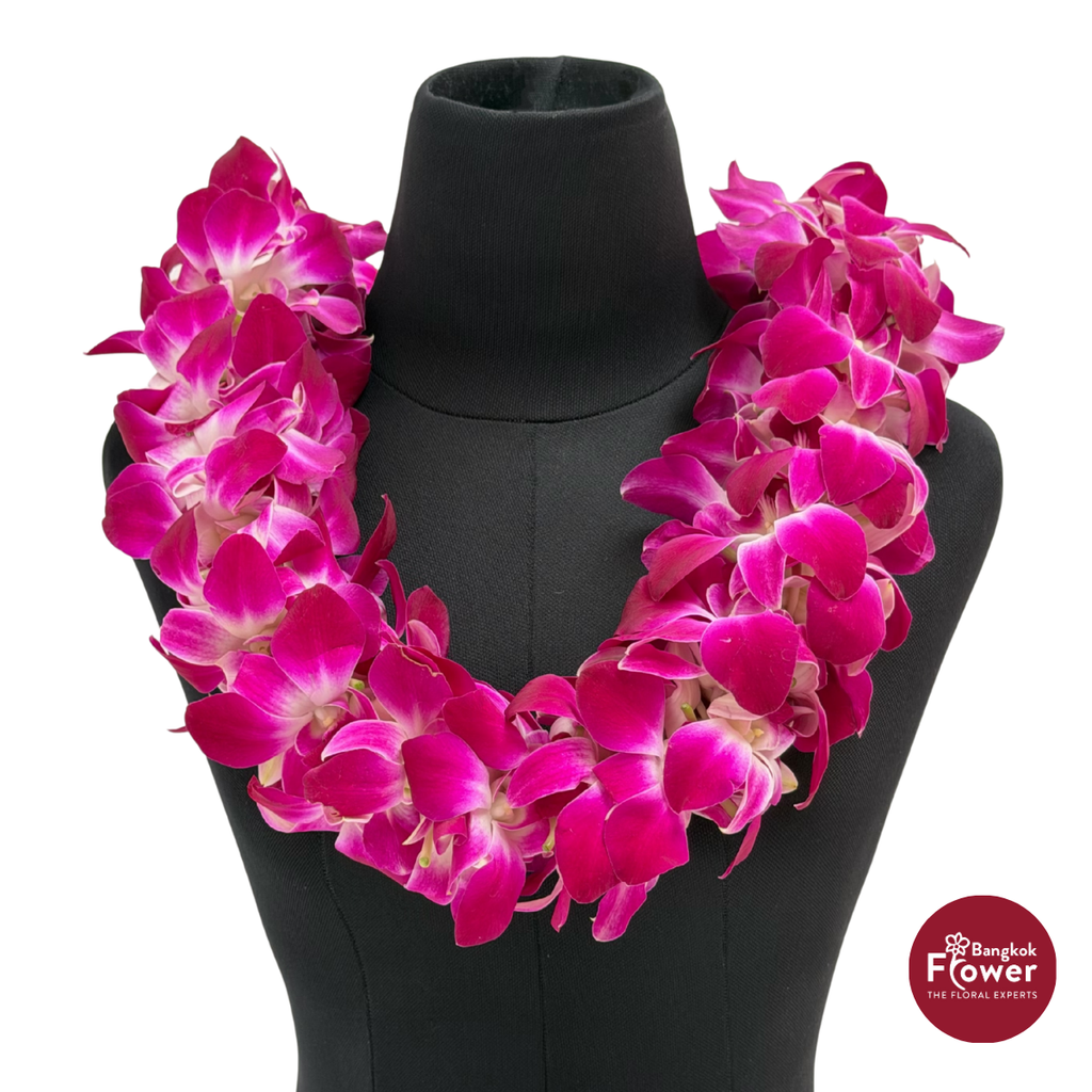 Lei Double Bom