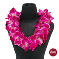 Lei Double Bom