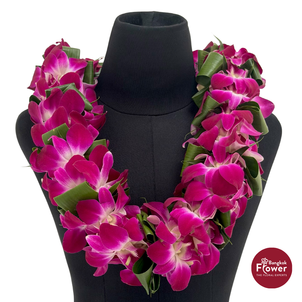 Lei Double Bom + Leaves