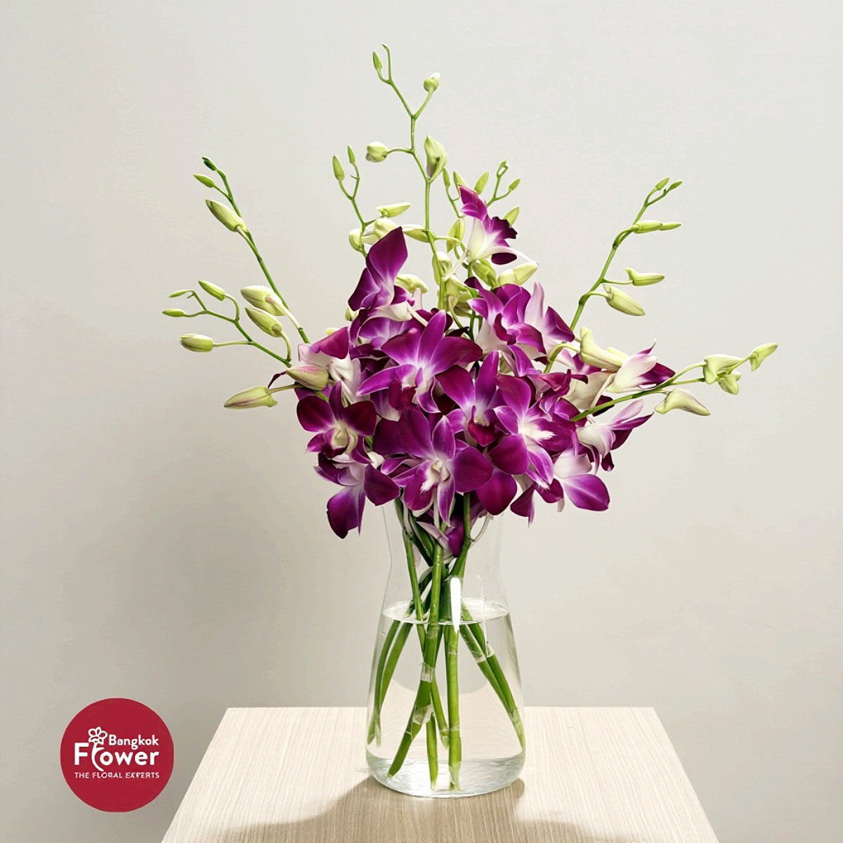 Dendrobium Orchid SN