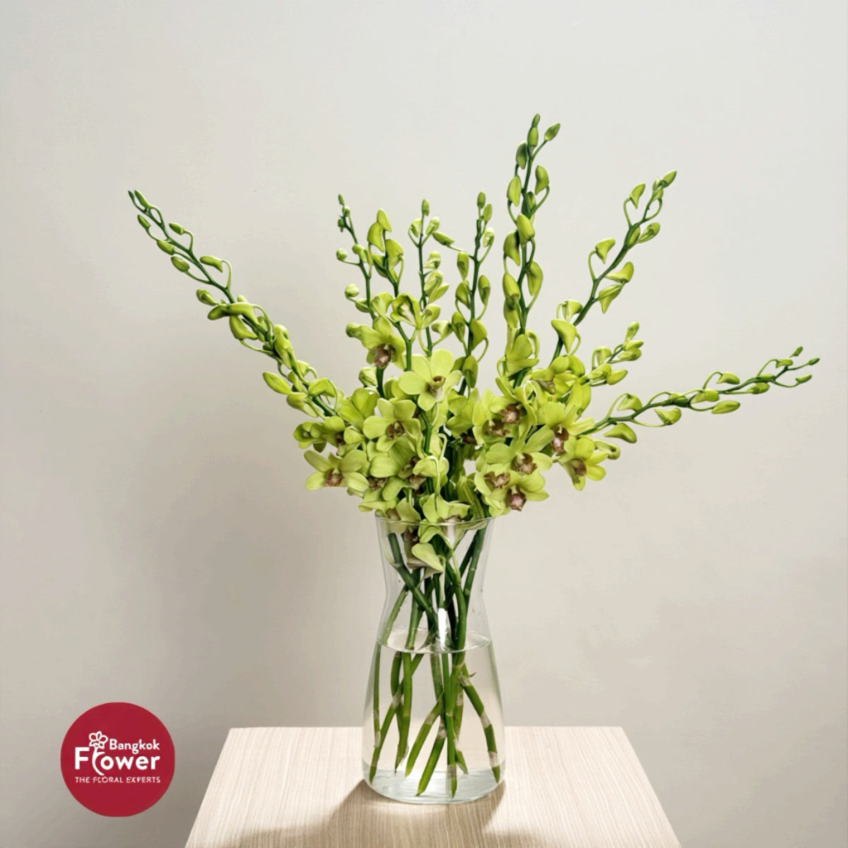 Dendrobium Orchid BJ