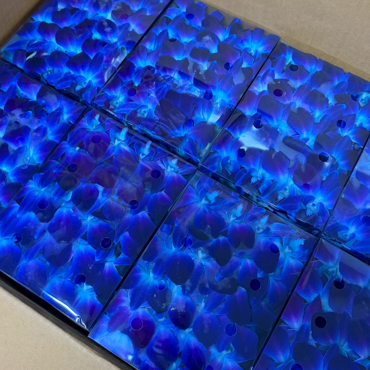 Loose Bloom BOM Blue