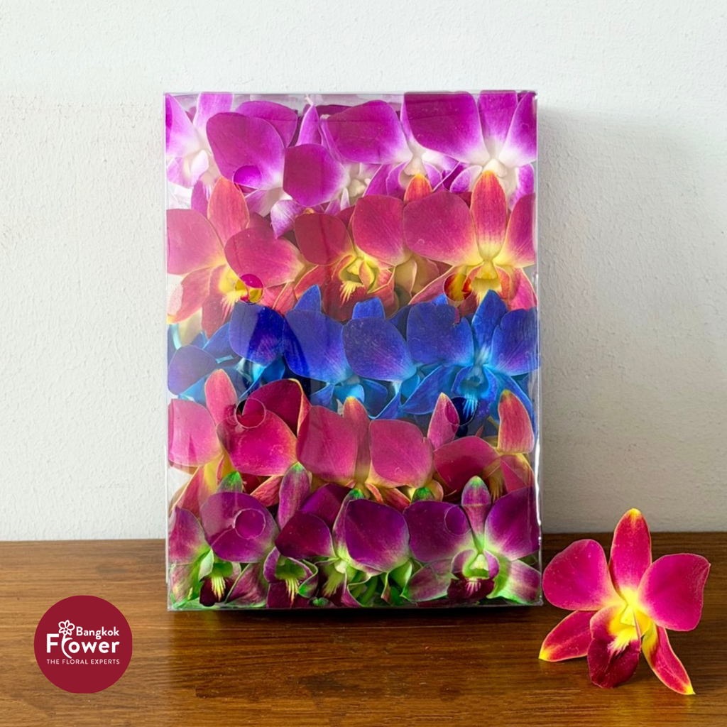 Loose Bloom Rainbow Mix