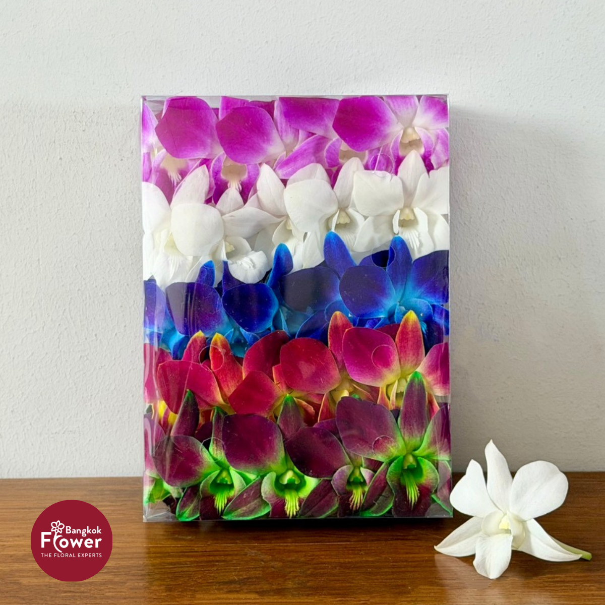 Loose Bloom Rainbow Mix 2