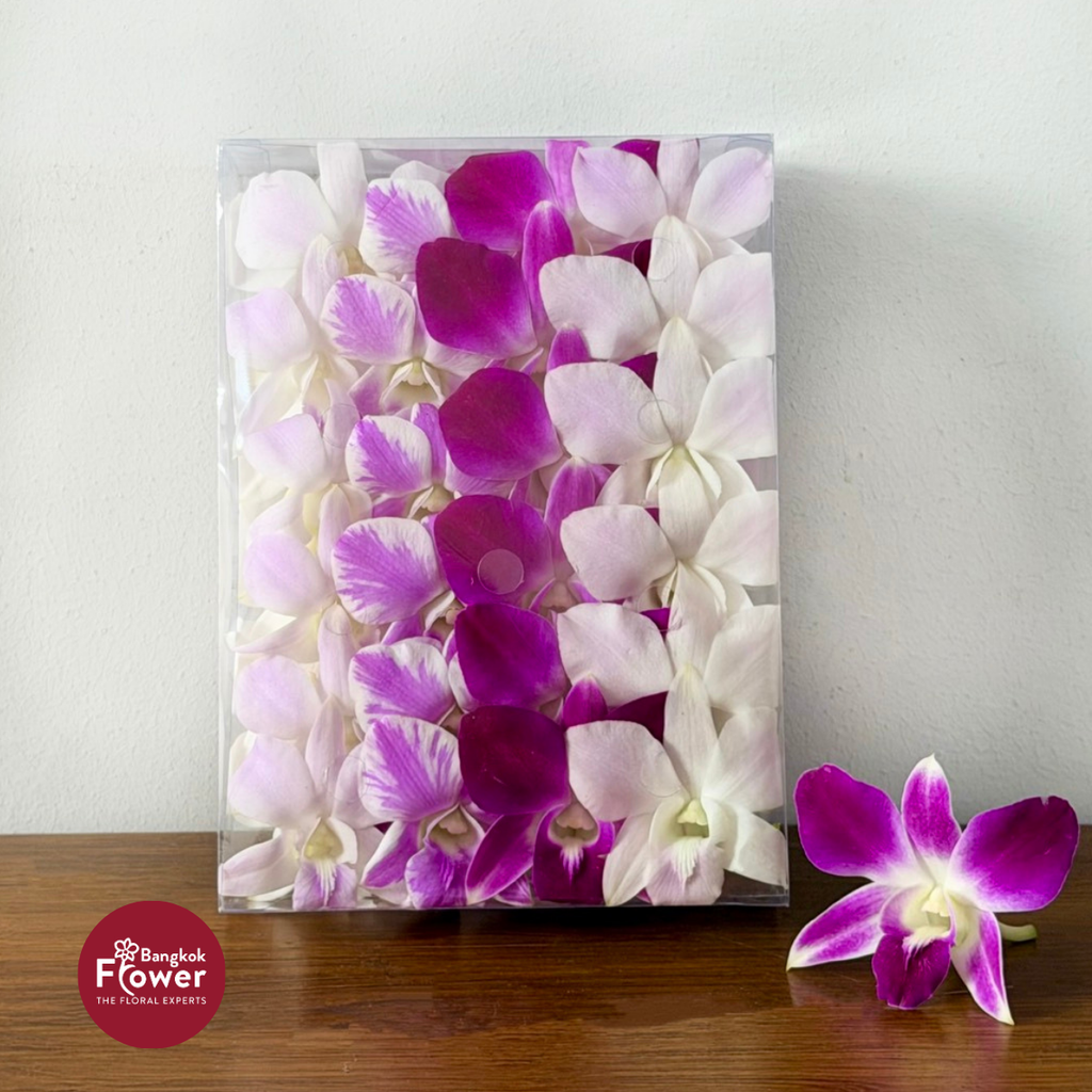 Loose Bloom Mix Pink