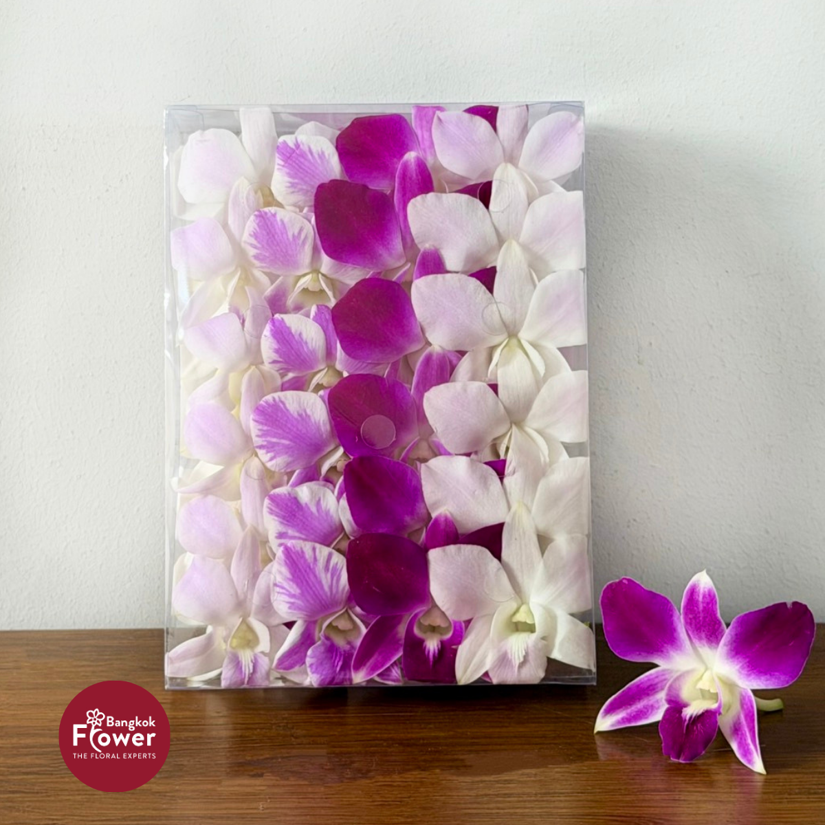Loose Bloom Mix Pink