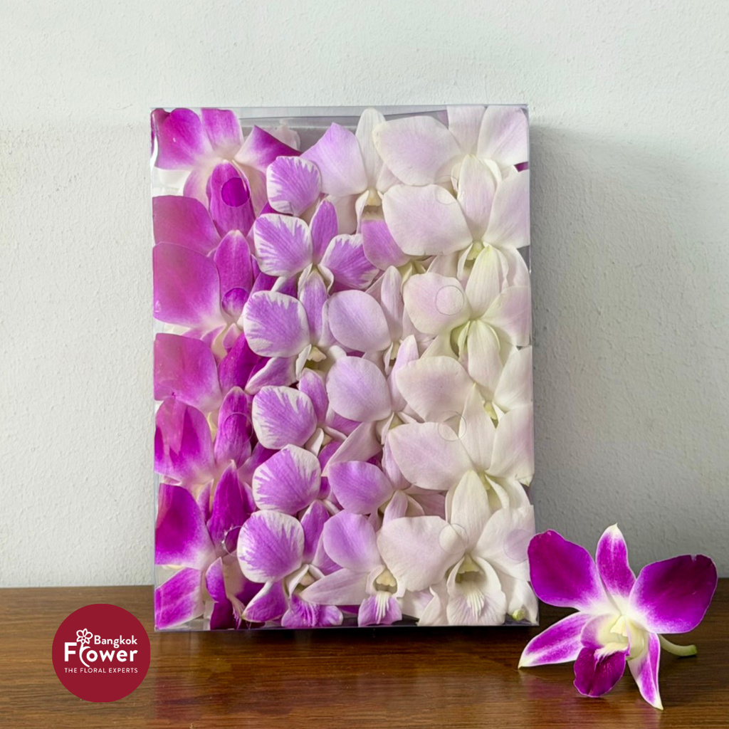 Loose Bloom Mix Pink