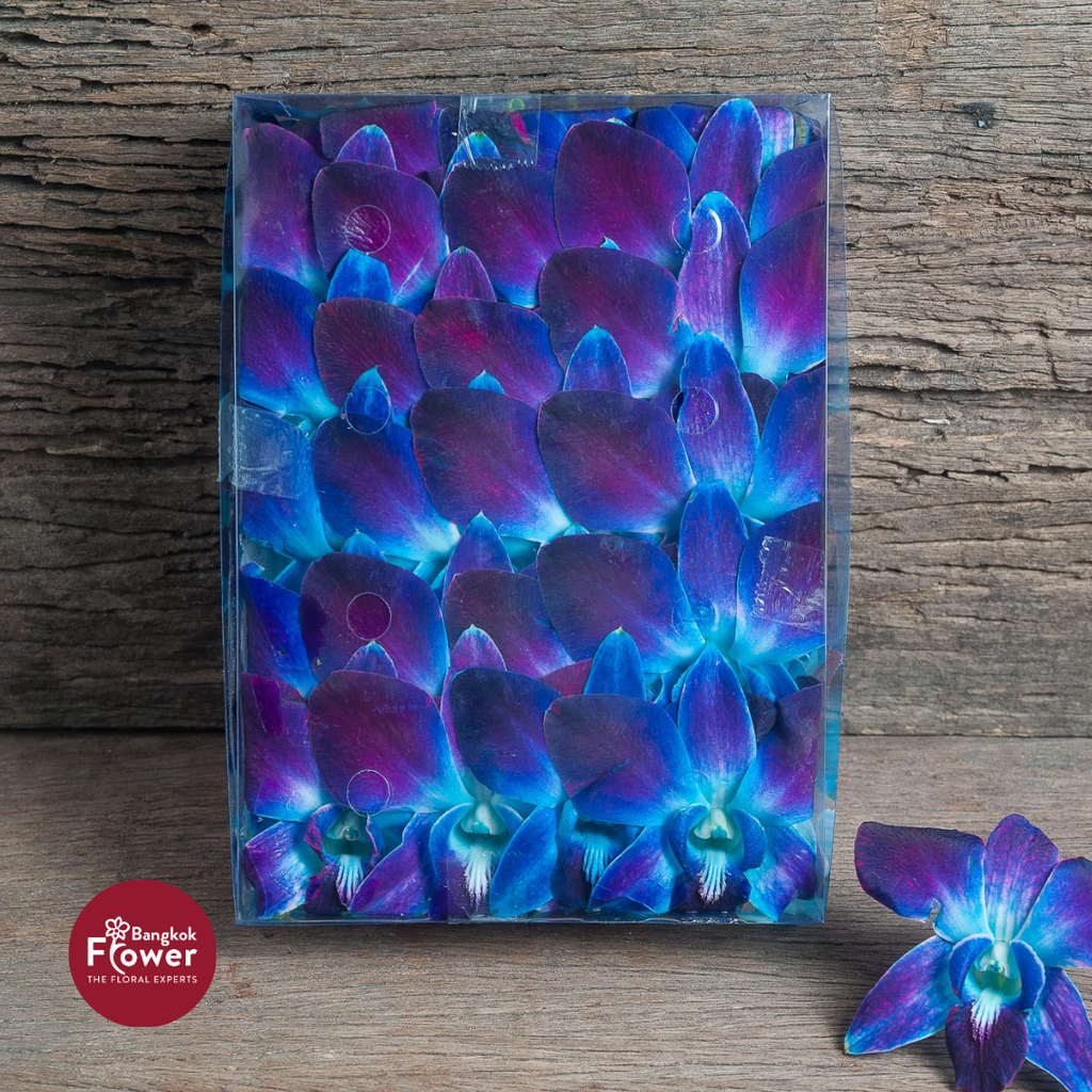Loose Bloom BOM Blue