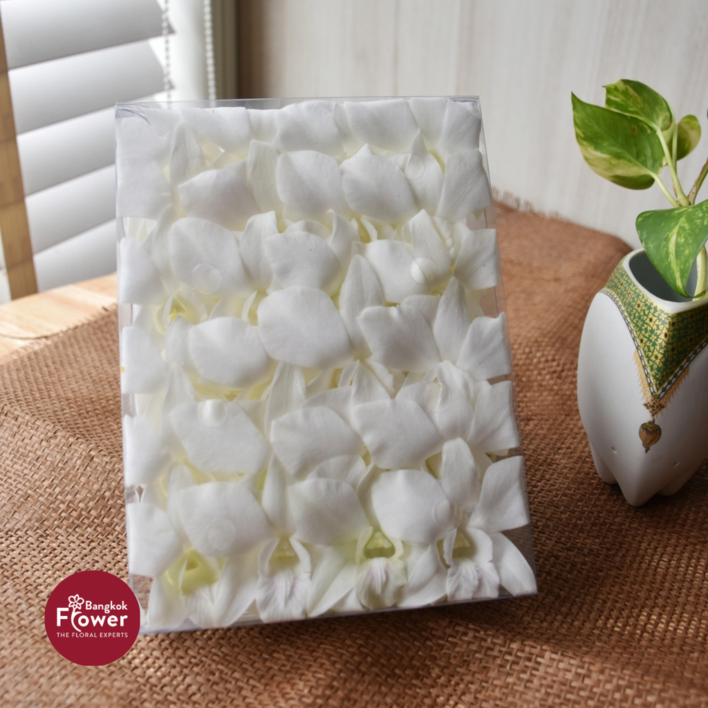 Loose Bloom White