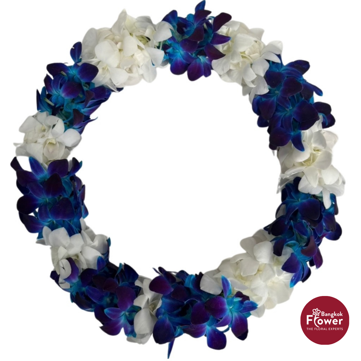 Lei Double Bom Blue + White