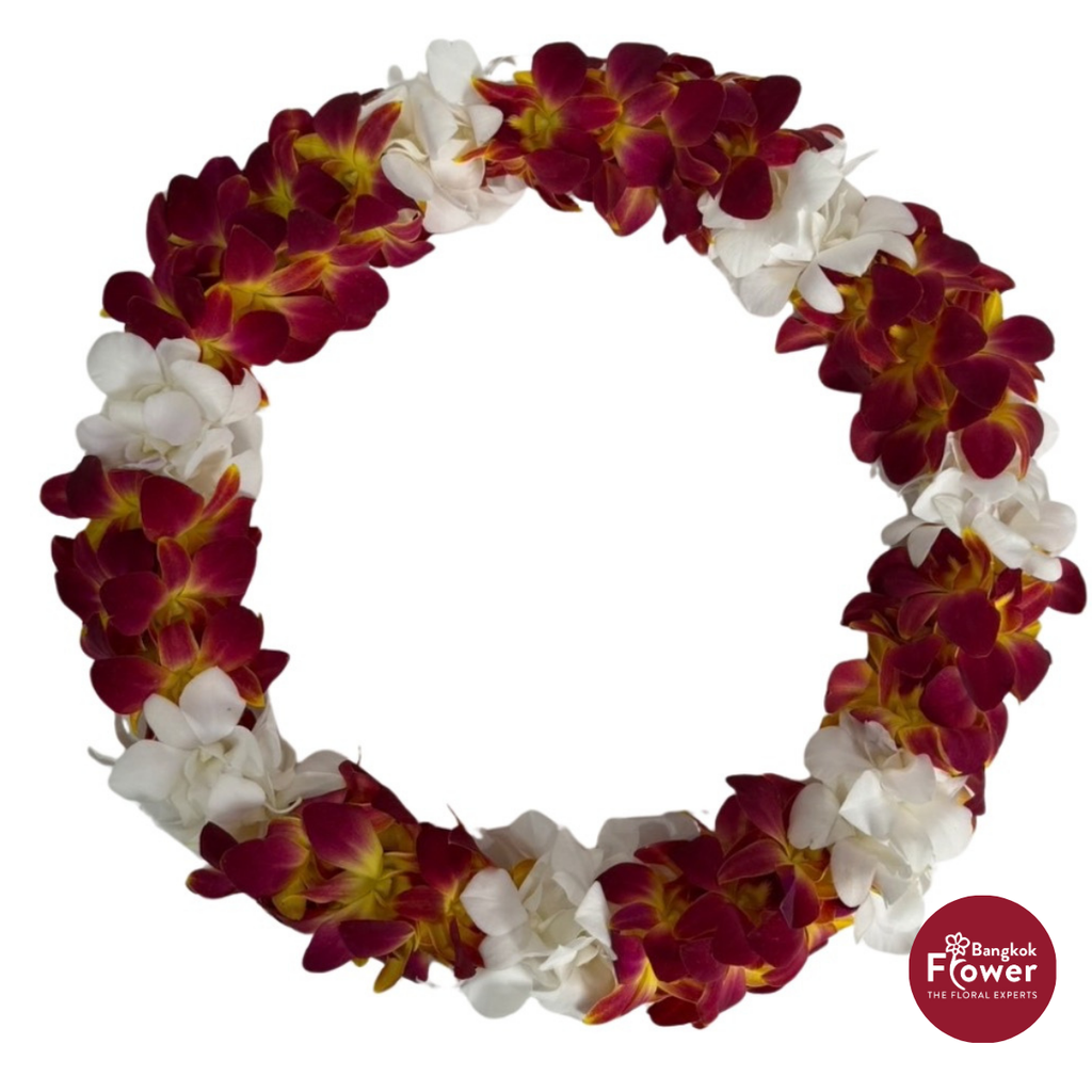 Lei Double Bom Yellow + White