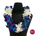 Lei Double Bom Blue + White