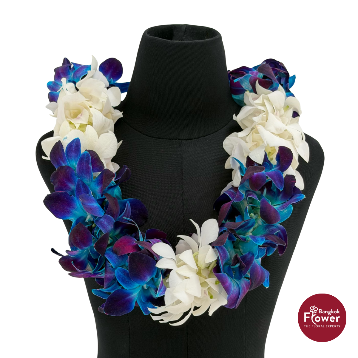Lei Double Bom Blue + White