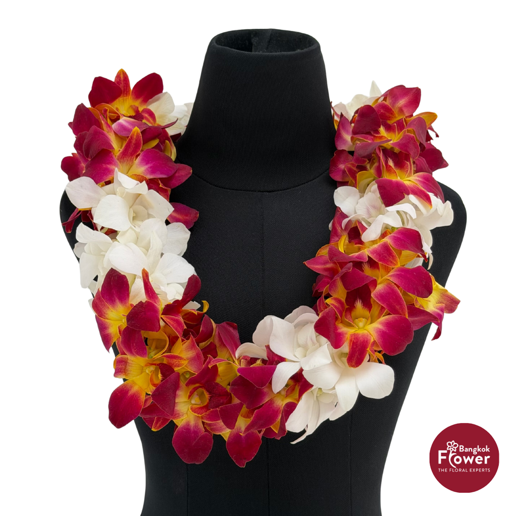 Lei Double Bom Yellow + White