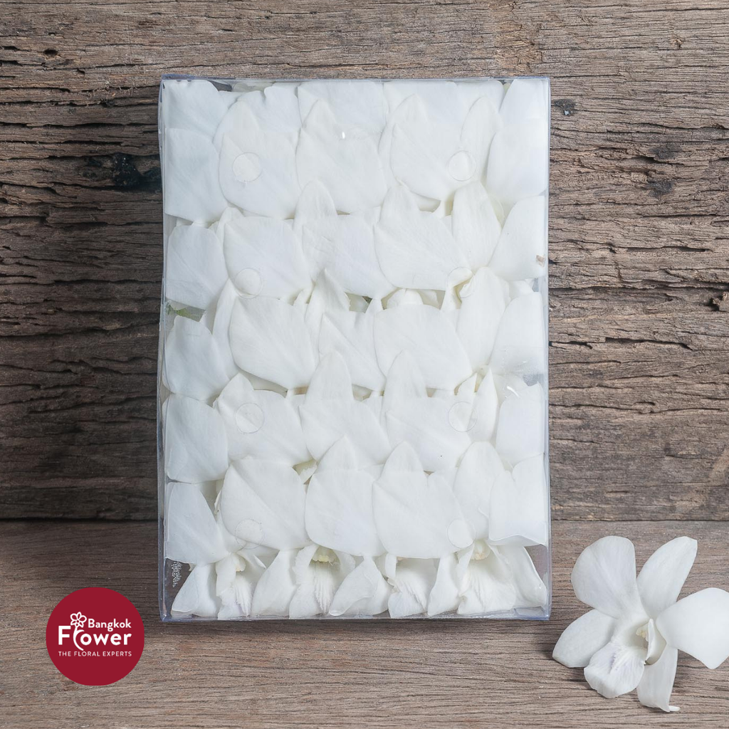 Loose Bloom White