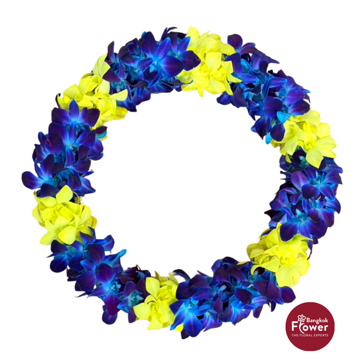Lei Double White Yellow + Blue