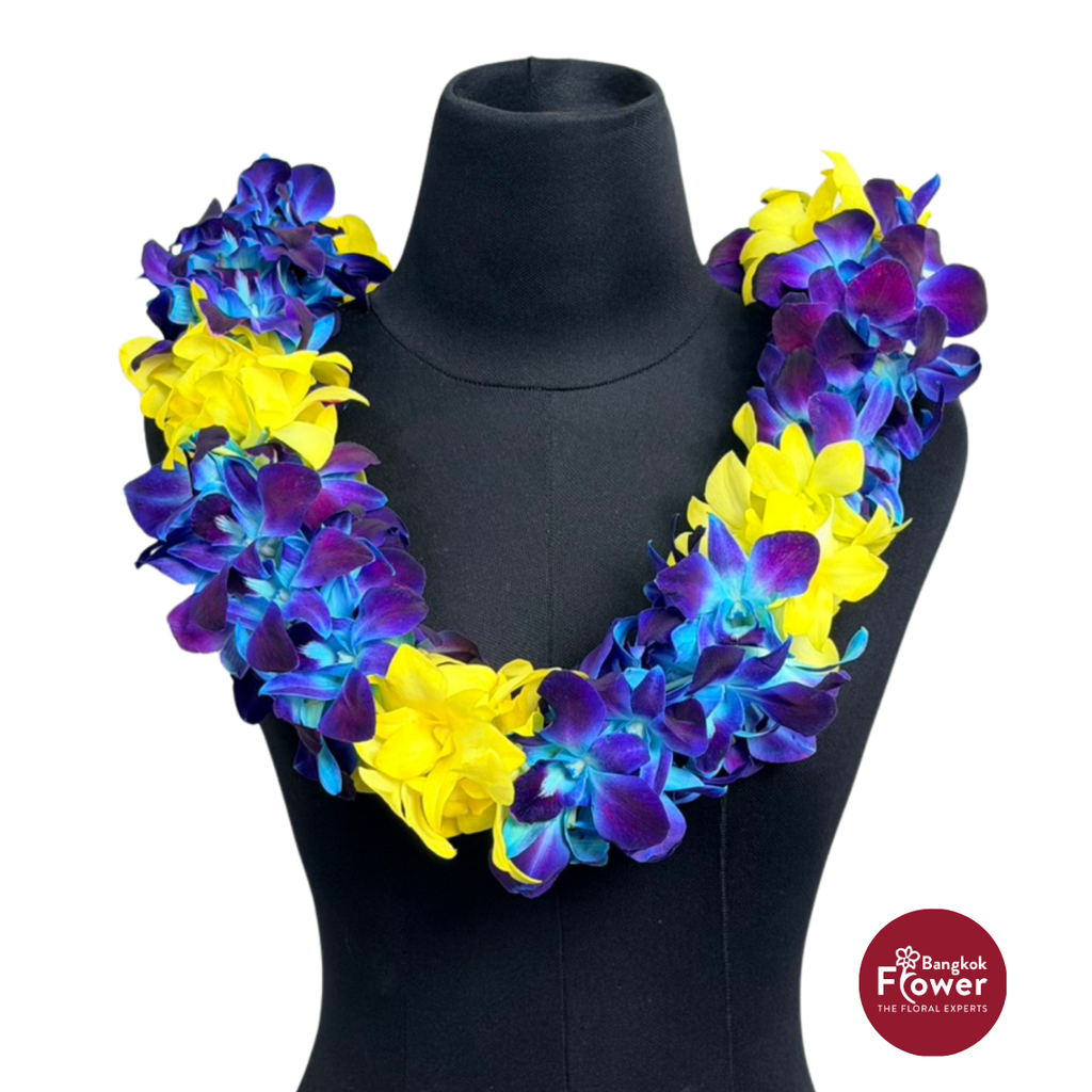 Lei Double White Yellow + Blue